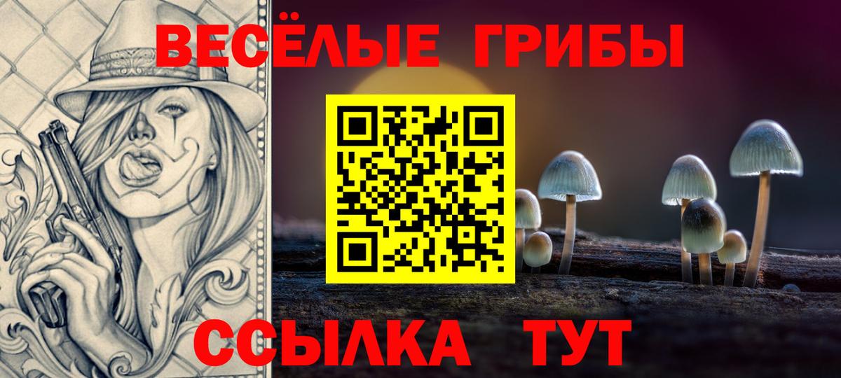 Галлюциногенные грибы Psilocybe Архангельск