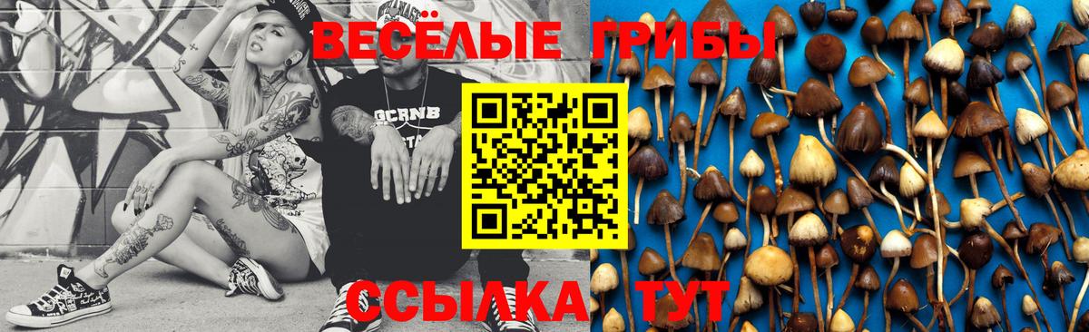 Псилоцибиновые грибы Psilocybe  Вход с VPN  Архангельск 